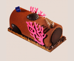 Chocolate log praline 2024