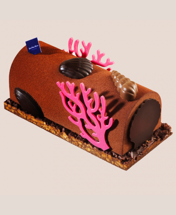 Chocolate log praline 2024