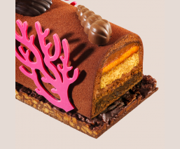 Chocolate log praline 2024 - cake cut