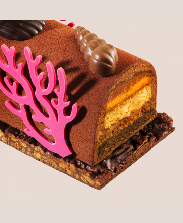 Chocolate log praline 2024 - cake cut